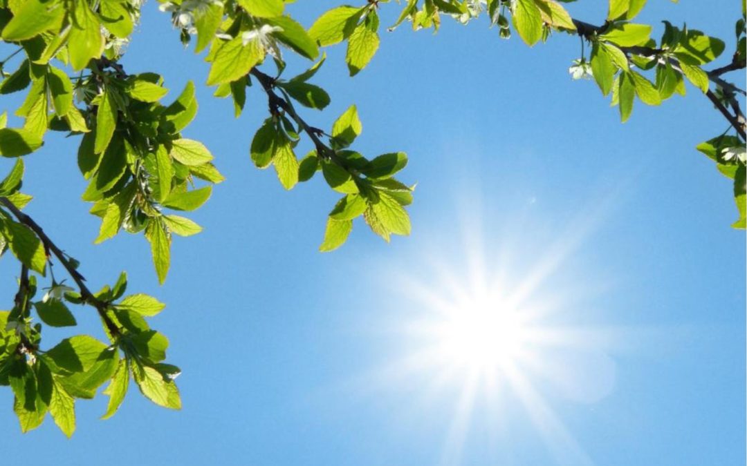 May 13th –  My Hammock Moment