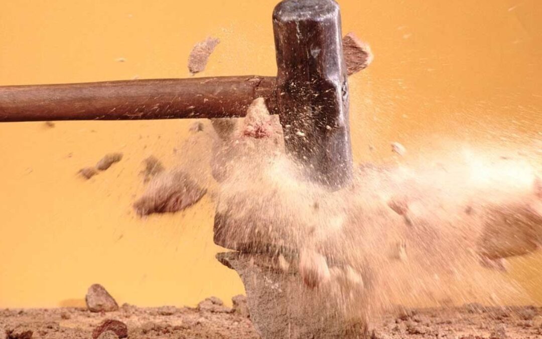 Impact with Intention February 2026